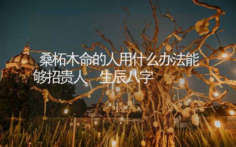 桑松土命五行|桑柘木命代表的是什么意思 桑柘木命的解析